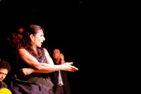 e flamenco dancer.jpeg